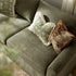 files/BOSF-697-CYPRES-CHEN-3ST_scene4.jpg