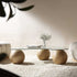 Sveti Curved Glass Coffee Table, Natural - daals