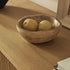 files/BSD-170-OAK_scene4.jpg
