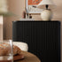 files/BSD-172-BLACK_scene3.jpg