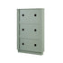files/BSD-178-SAGE_WB6.jpg