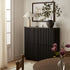Maru 4 - Door Shoe Storage Cabinet, Black - daals