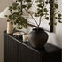 files/BSD-179-BLACK_scene5.jpg
