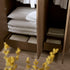 files/BSD-182-SILK_scene4.jpg