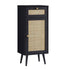 files/FT-BAC-01-BLACK_WB2.jpg