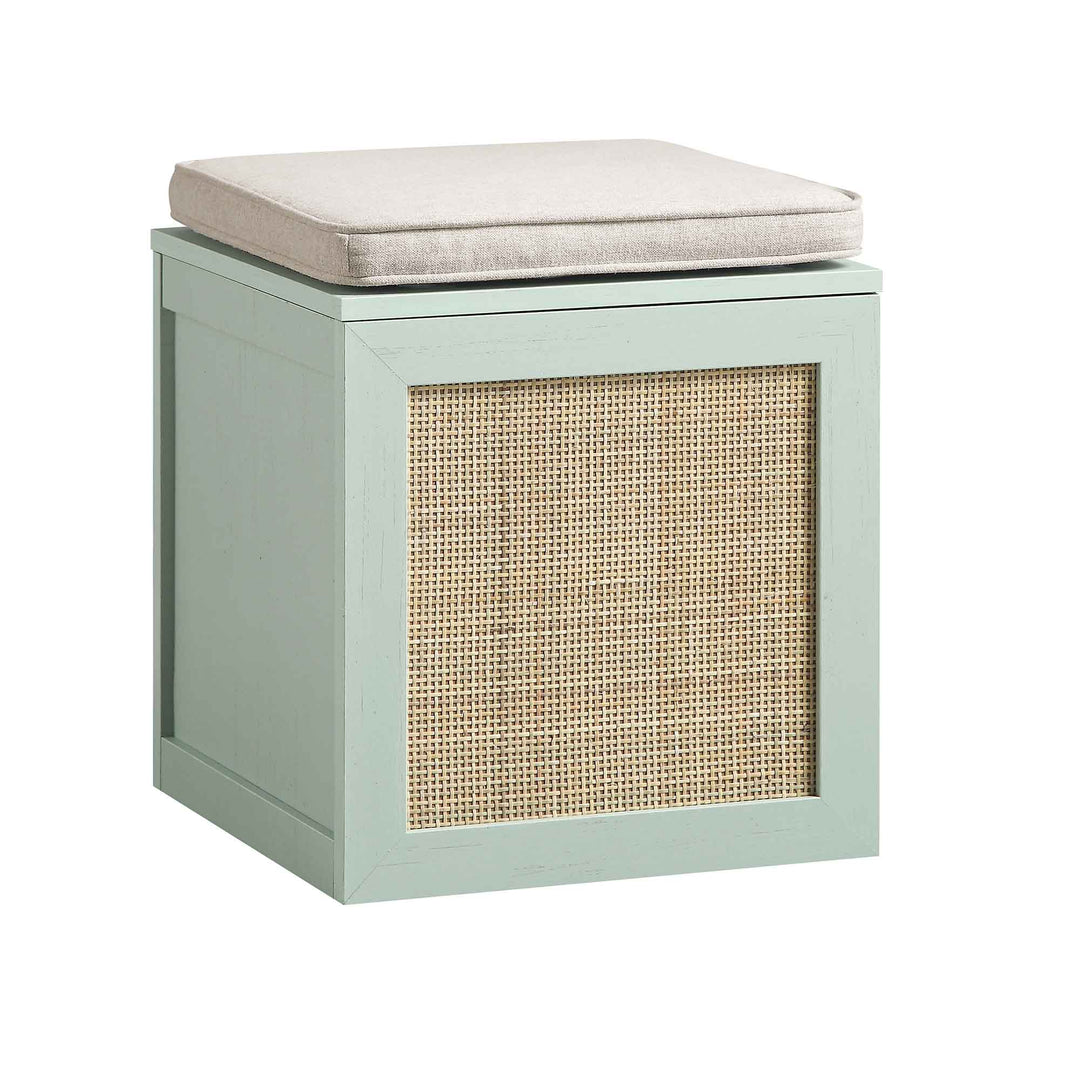 Frances Woven Rattan Single Storage Stool with Cushion, Mint | daals
