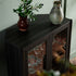 files/FT-CAB-07-EBO_scene6.jpg