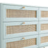 files/FT-COD-002-SAGE_detail1.jpg