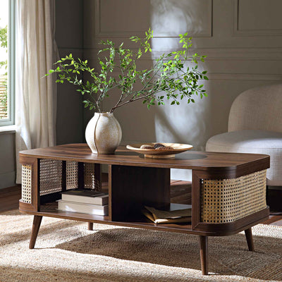 Storage Coffee Tables