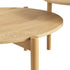 files/FT-CT-04-NAT_detail2.jpg