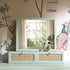 files/FT-MIRR-04-SAGE_scene1.jpg