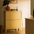 Oakham 2 - Tier Shoe Cabinet, Rattan Yellow - daals