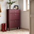 Oakham 2 - Tier Shoe Cabinet with Top Drawer, Wild Cherry - daals