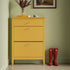 Oakham 2 - Tier Shoe Cabinet with Top Drawer, Rattan Yellow - daals