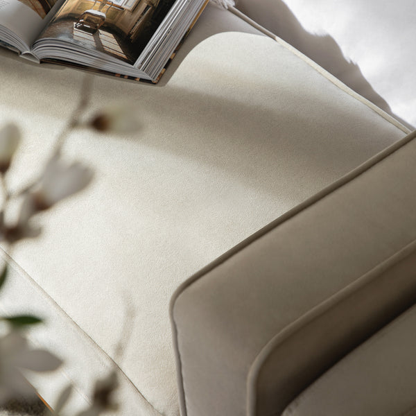 Dipley Champagne Velvet Upholstered Bench - daals