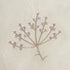 files/HW-BSPREAD-QUILTED-SPRIG-CREAM_detail1.jpg