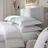 files/HW-PCASE-BELVEDERE-BLUE_scene2.jpg
