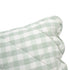 files/HW-PCASE-CONT-MATILDA-GINGHAM-GRN_detail1.jpg