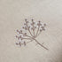 files/HW-PCASE-REG-SPRIG-CREAM_scene2.jpg