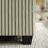 files/JAH-023-GREENSTRIPE_scene6.jpg