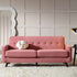 files/LVSF-06-PINKVEL-3ST_scene1.jpg