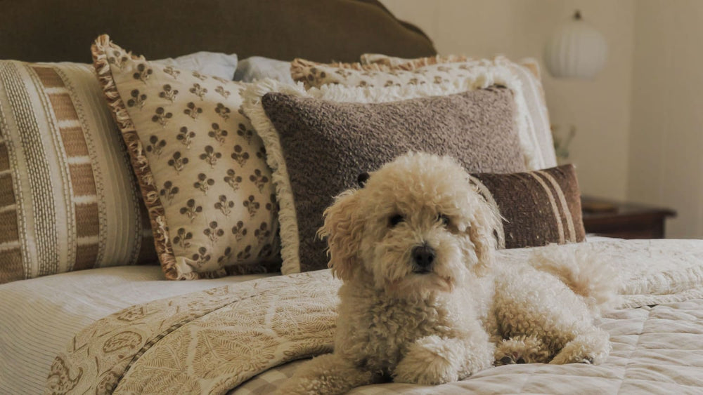 daals Luxury Bedding Range