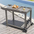 Montrose Aluminium Outdoor Bar Cart, Brushed Silver Oak - daals