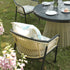 files/OD-DINE-2202-BLACK-OAT-SET_scene3.jpg