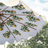 files/OD-PRSL-38-LEMON_scene1.jpg