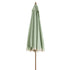 files/OD-PRSL-43-CELGREEN_WB3.jpg