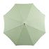 files/OD-PRSL-43-CELGREEN_WB4.jpg