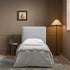 files/SCSF-384-GREY-BOU-S_scene1.jpg
