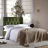 files/SCSF-388-FERN-VEL-D_scene1.jpg