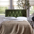 files/SCSF-388-FERN-VEL-D_scene3.jpg