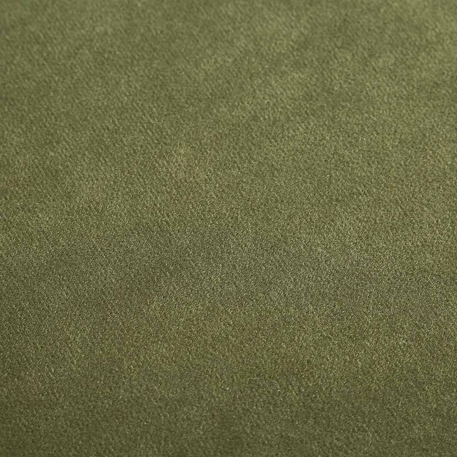 Pienza Cane Sofa Bed, Moss Green Velvet with Walnut Frame