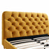 files/ZX-1063-MUST-VEL_detail1.jpg