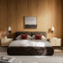 files/ZX-130-COCO-CHEN_scene1.jpg