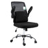 LULA Mesh Office Chair with Folding Arms and Removable Lumbar Cushion (Black)