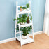 Hampton Ladder Display Unit - daals