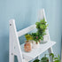 products/BF027WHITE_scene4.jpg