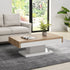 Blythe Two Block Sliding Storage Coffee Table - daals