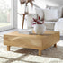 Moriko 2 Drawer Coffee Table - daals