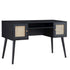 products/FT-DSK-01-BLACK_WB2.jpg