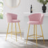 Kylie Set of 2 Pink Velvet Bar Stools - daals
