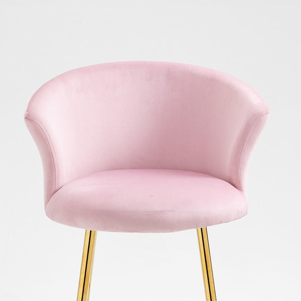 Kylie Set of 2 Pink Velvet Bar Stools - daals