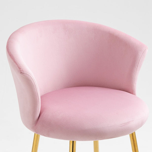 Kylie Set of 2 Pink Velvet Bar Stools - daals