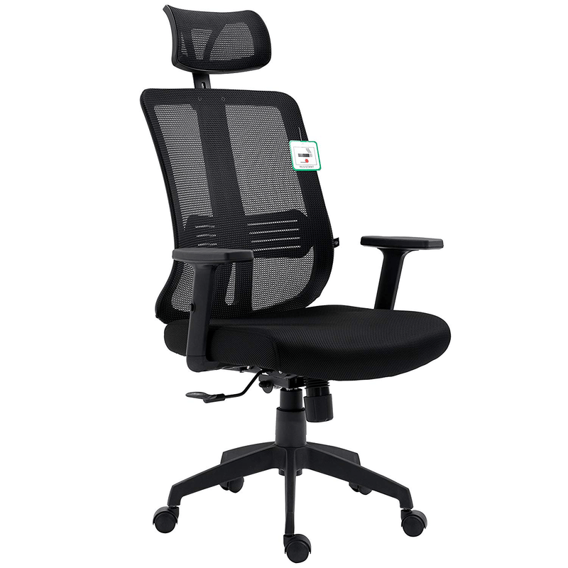 Black Mesh High Back Executive Office Chair Swivel Desk Chair with Synchro-Tilt, Adjustable Armrest & Headrest - daals