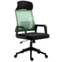 Beni Mesh Office Chair with Headrest in Green - daals