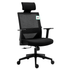 Joni High Back Mesh Office Chair with Headrest in Black - daals