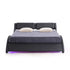 products/SF813BLACK_WB6.jpg